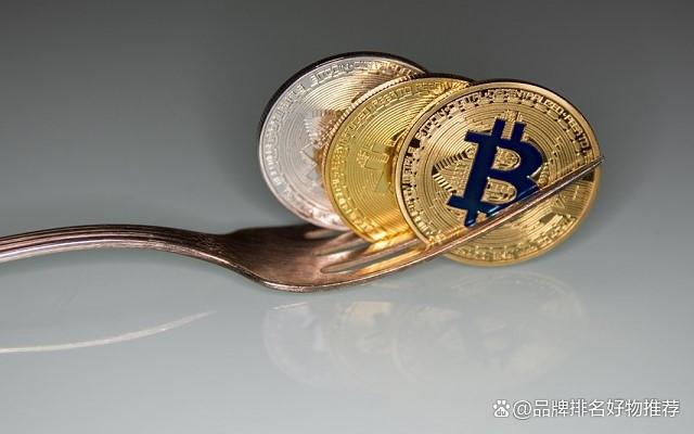 虚拟主流币种-虚拟主流币种是什么