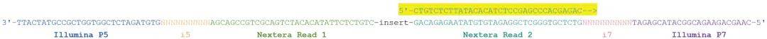 关于truseq文库的信息