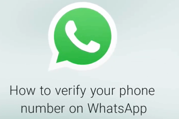 whatsapp中文版-whatsapp中文版下载安卓手机版