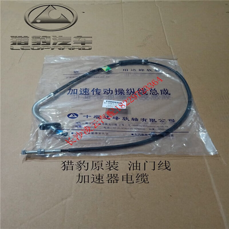 vp加速器猎豹-网络加速器 猎豹