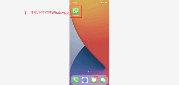 包含whatsapp怎么多选照片ios的词条