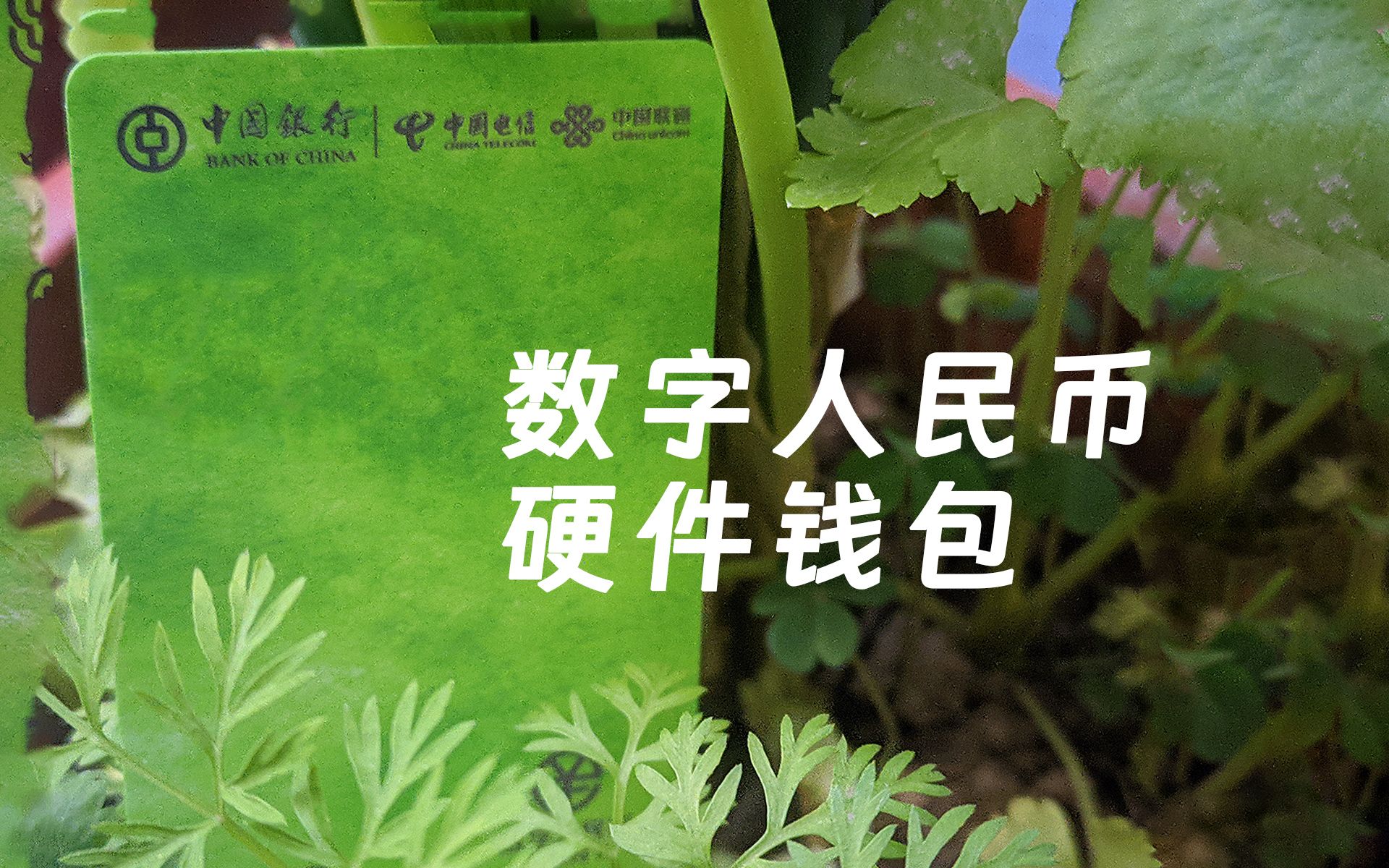 TP冷钱包安全吗-tp钱包是正规的吗