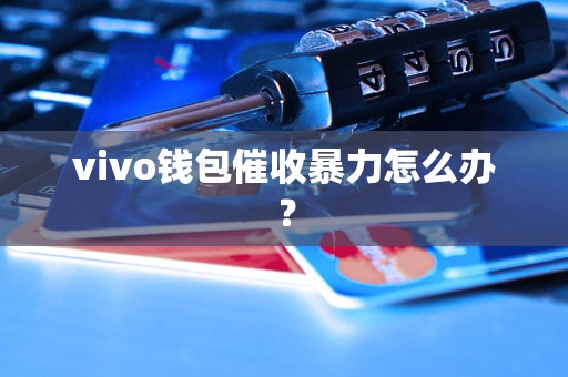 ⅴⅰvo钱包下载-∨vivo钱包下载