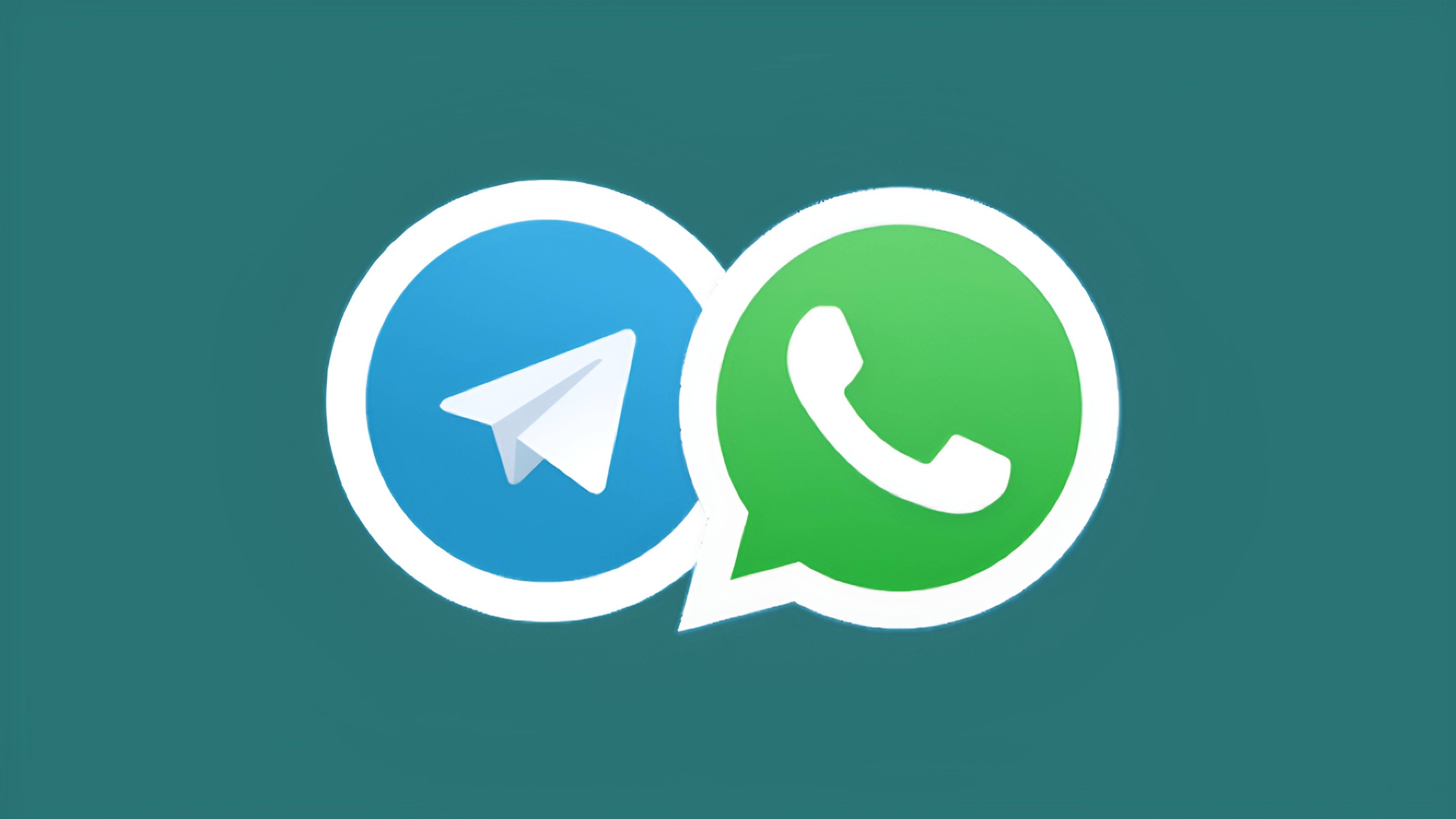 包含whatsapp.org的词条