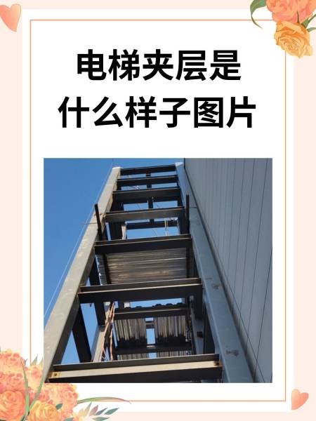 梯子与地面夹角标准-梯子与地面夹角标准是多少