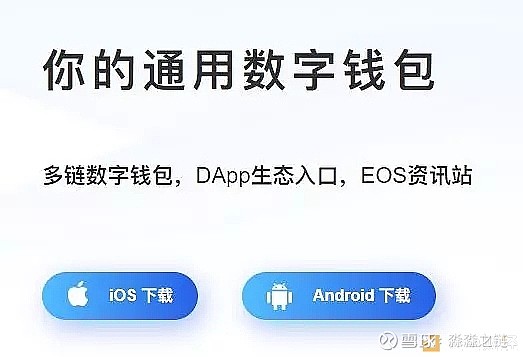 tp钱包资产被下载怎么找回-tp钱包删了怎样重新导入资产