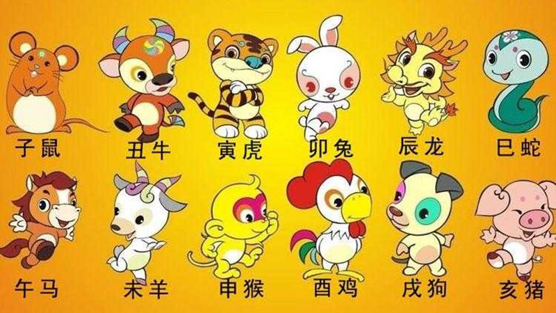玄机字对是什么生肖-玄机字是什么生肖动物