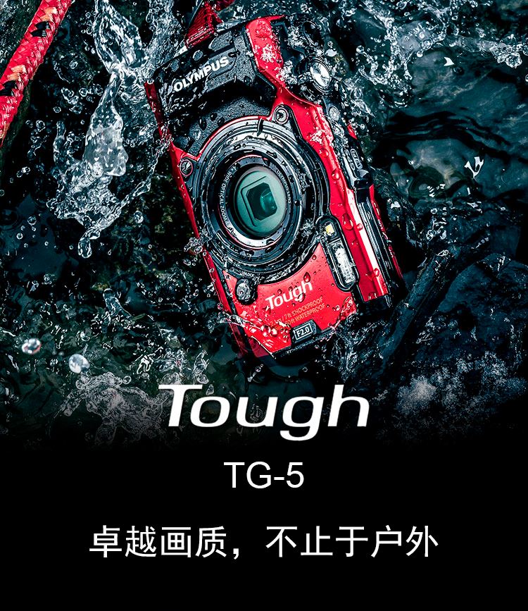 TG官网入口-TG官网入口登录链接