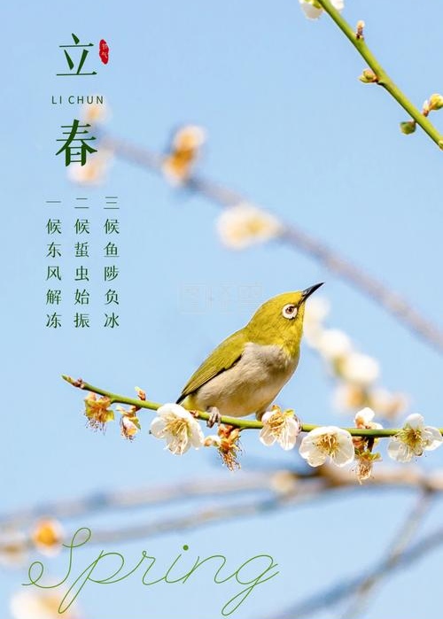 立春打一最准确动物-今晚必开一肖最准生肖