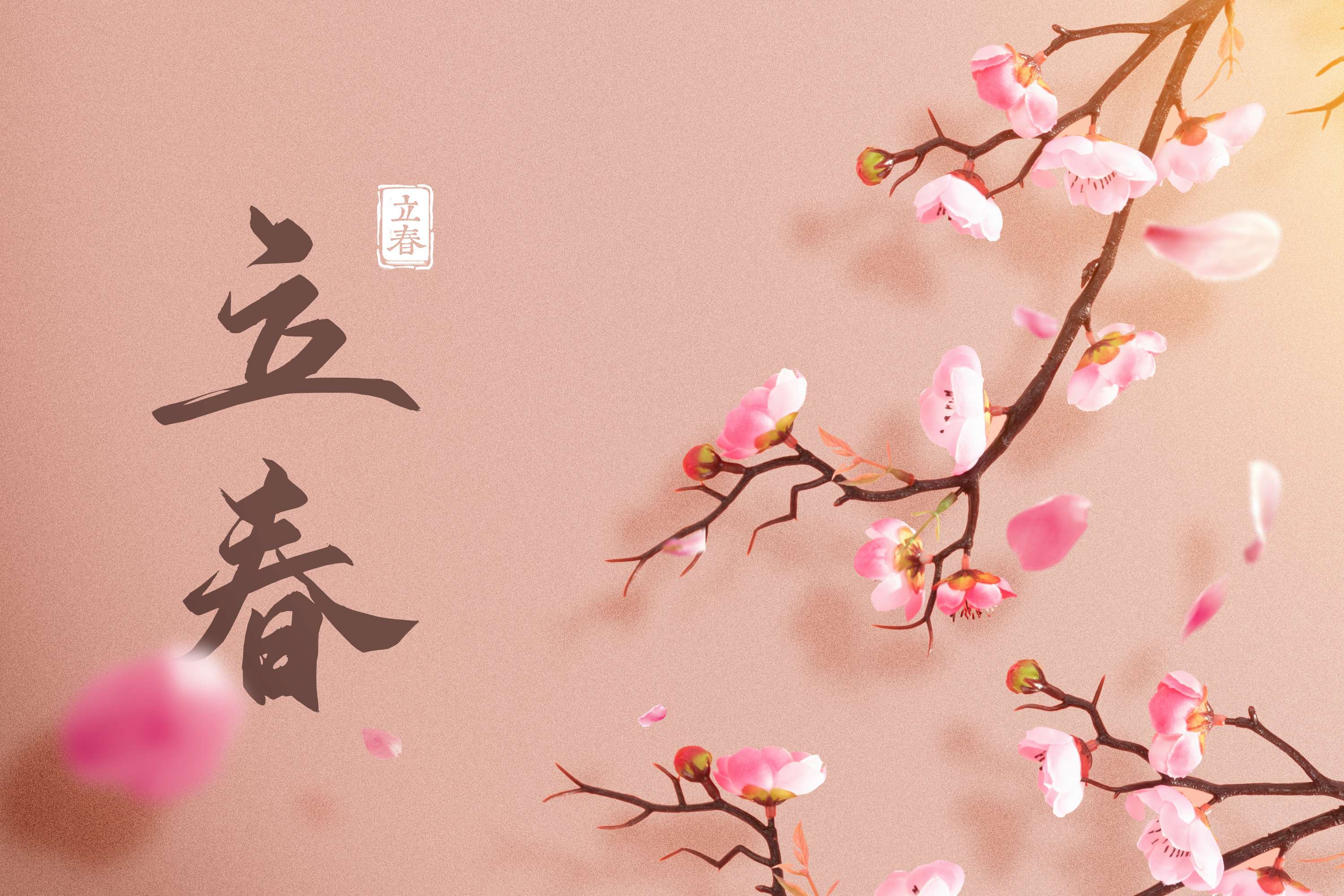 请问立春是什么生肖-立春是什么生肖令天出什么持吗