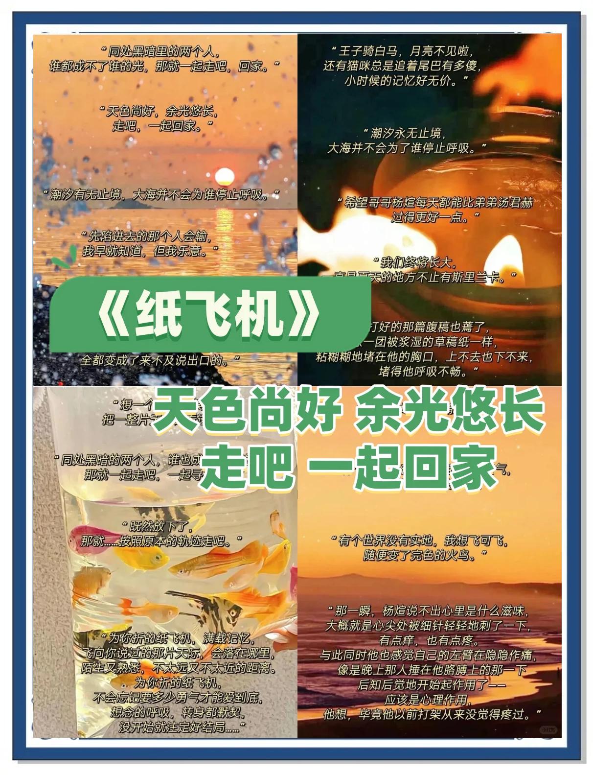 纸飞机小说笔趣阁-纸飞机小说全文阅读