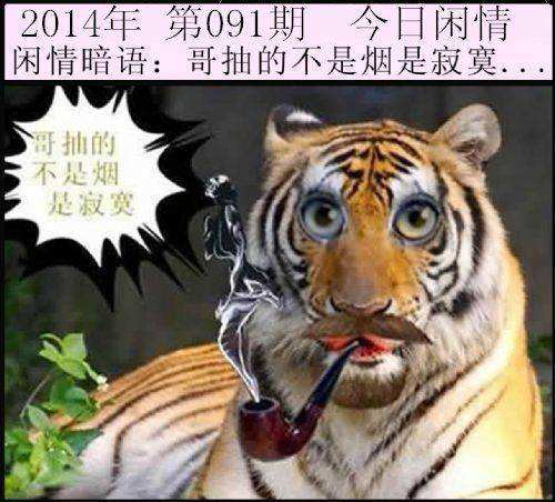 玄机三六打一准确生肖-玄机三六点代表什么生肖或数字