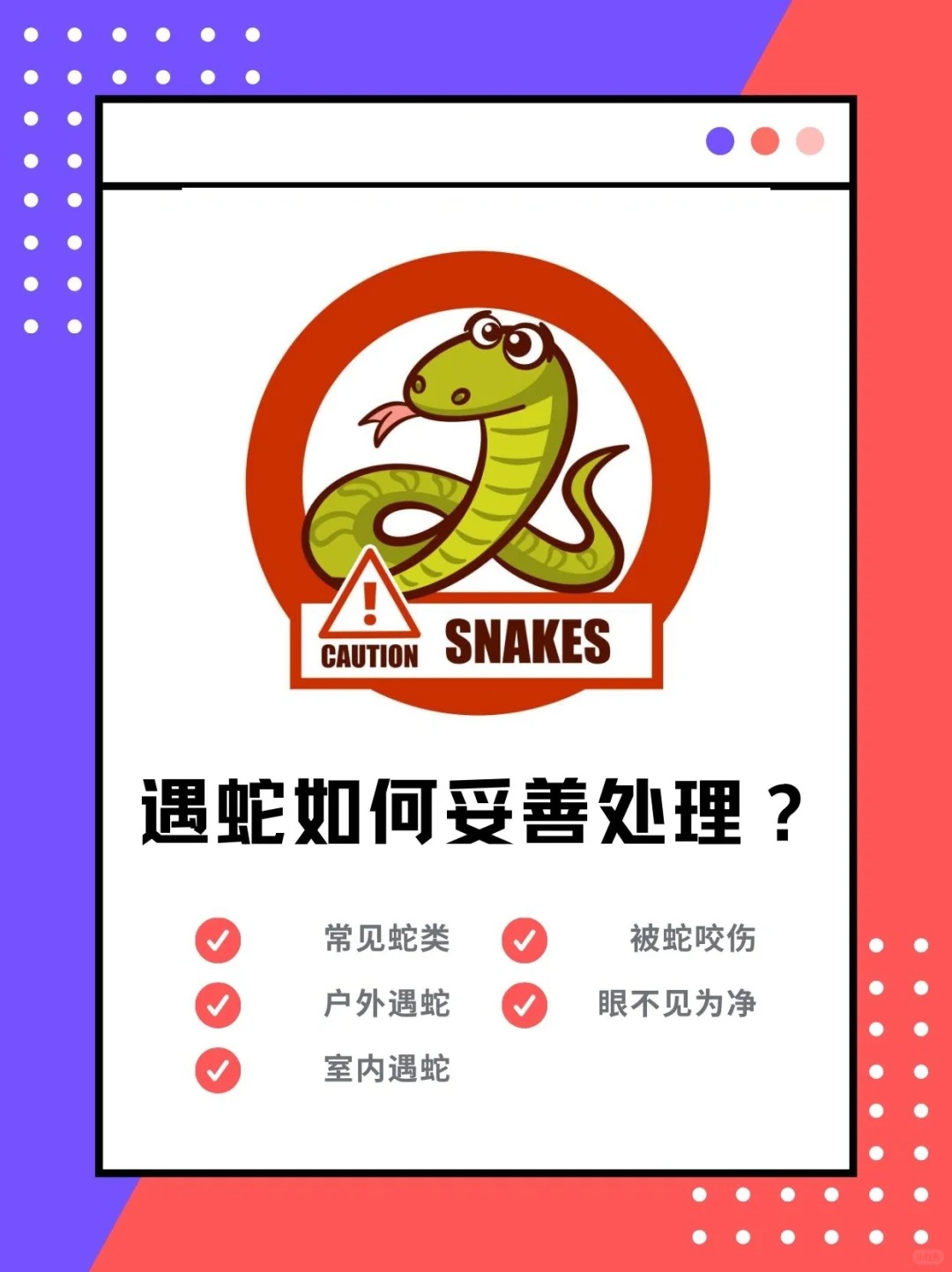 三条蛇仔缠大猪歇后语-三条蛇仔缠大猪歇后语图片