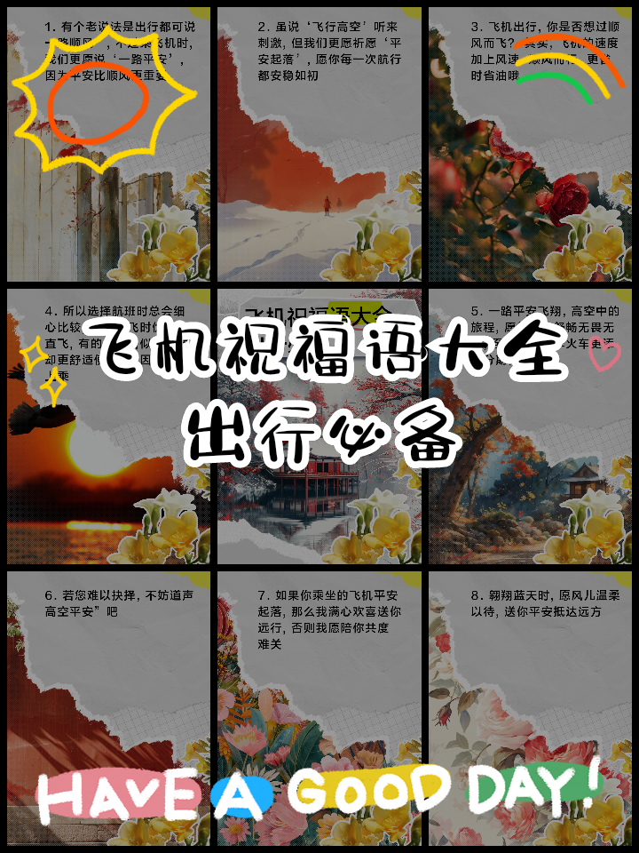 飞机中文语言包-飞机中文语言包链接