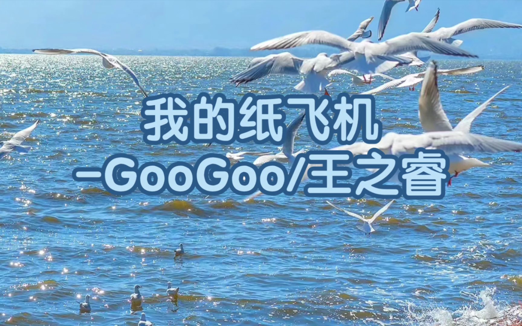 纸飞机telegeram电脑版-免费telegeram代理服务器