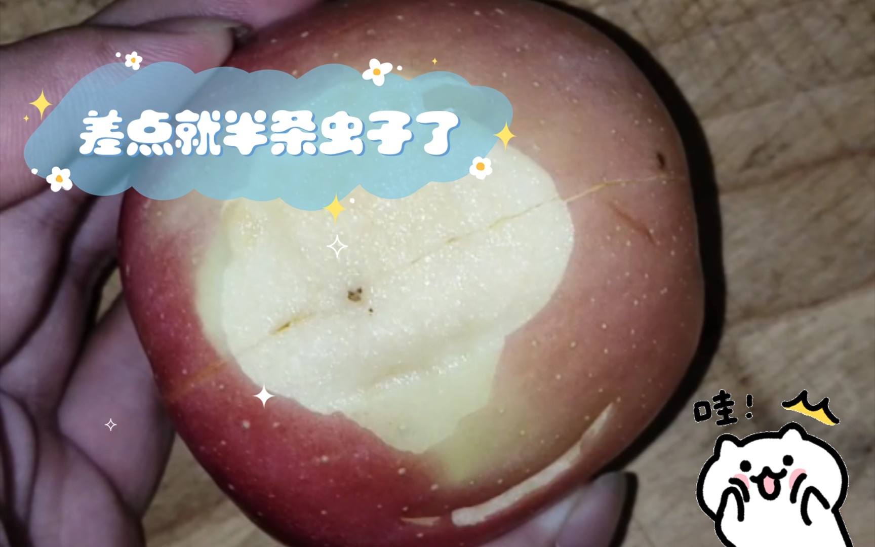 半条虫子是什么意思-半条被子讲的是什么故事