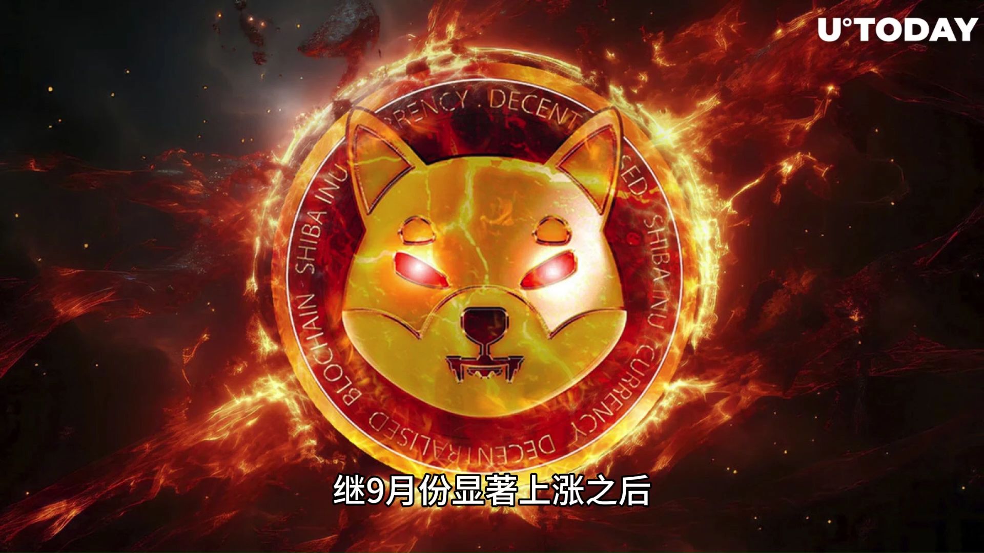 柴犬币值得长期持有吗-柴犬币值得长期持有吗为什么