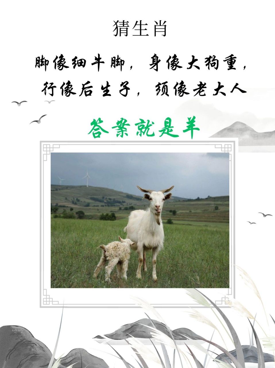 最正确答案打一生肖-正确答案打一生肖属于什么动物?靠的手功