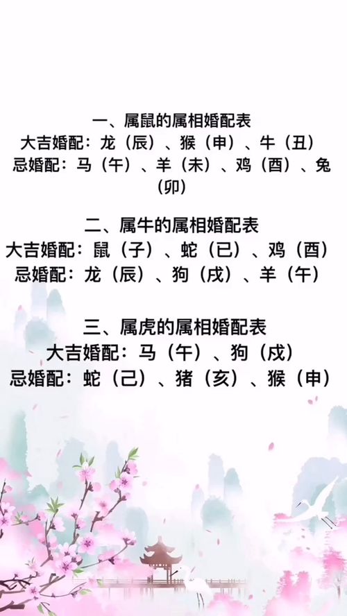 三一二三今期暴什么生肖-一三仍然旺在前,二八二七相伴走是什么生肖