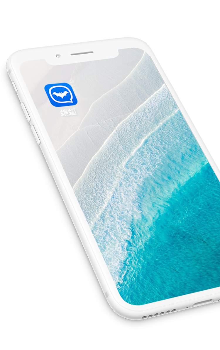 蝙蝠浏览器app-蝙蝠浏览器app下载