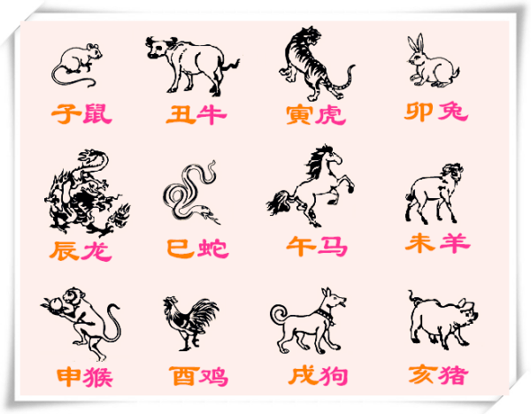 十二生肖立春是特马代表什么生肖-十二生肖立春是特马代表什么生肖呢