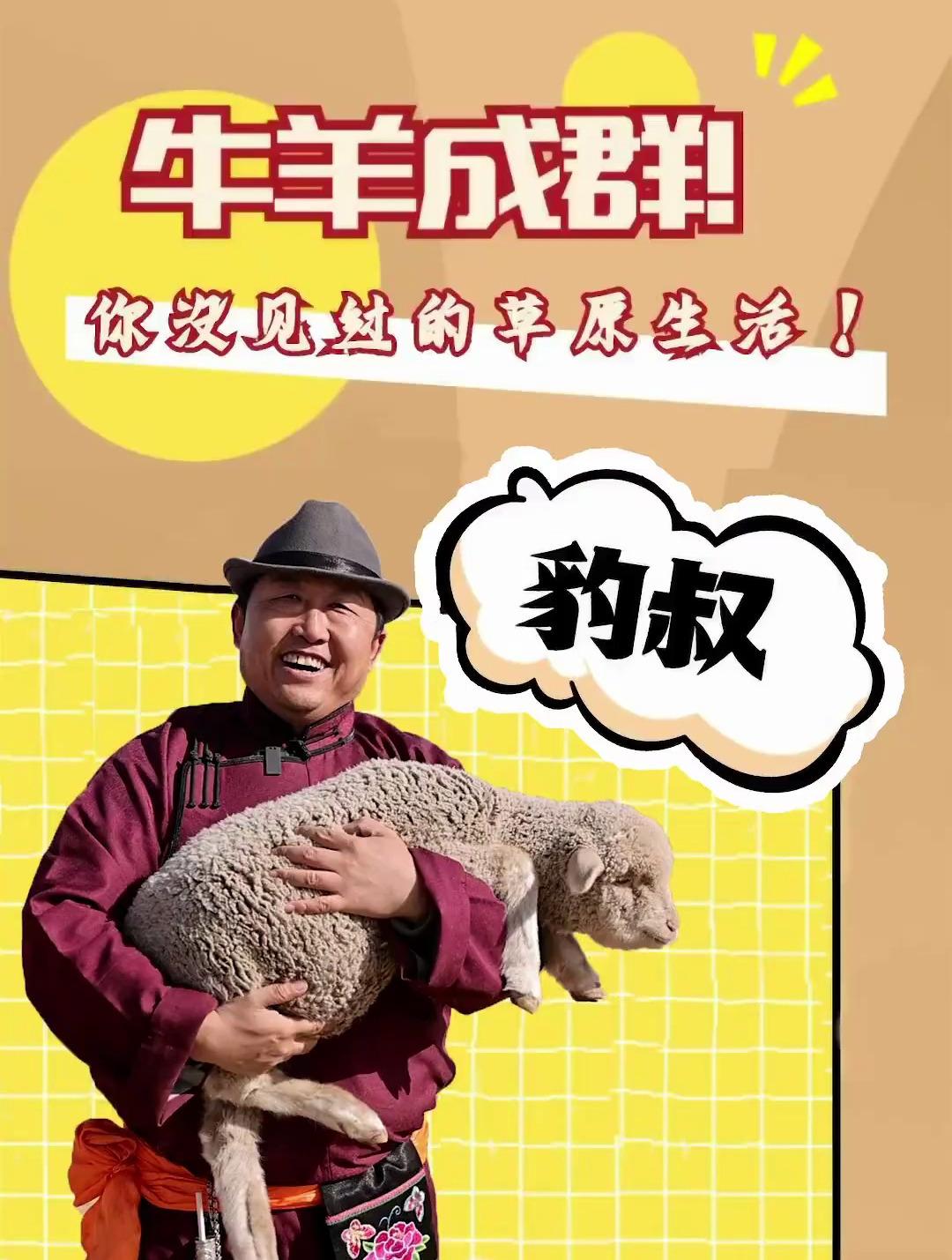 细羊的意思-细毛羊是什么