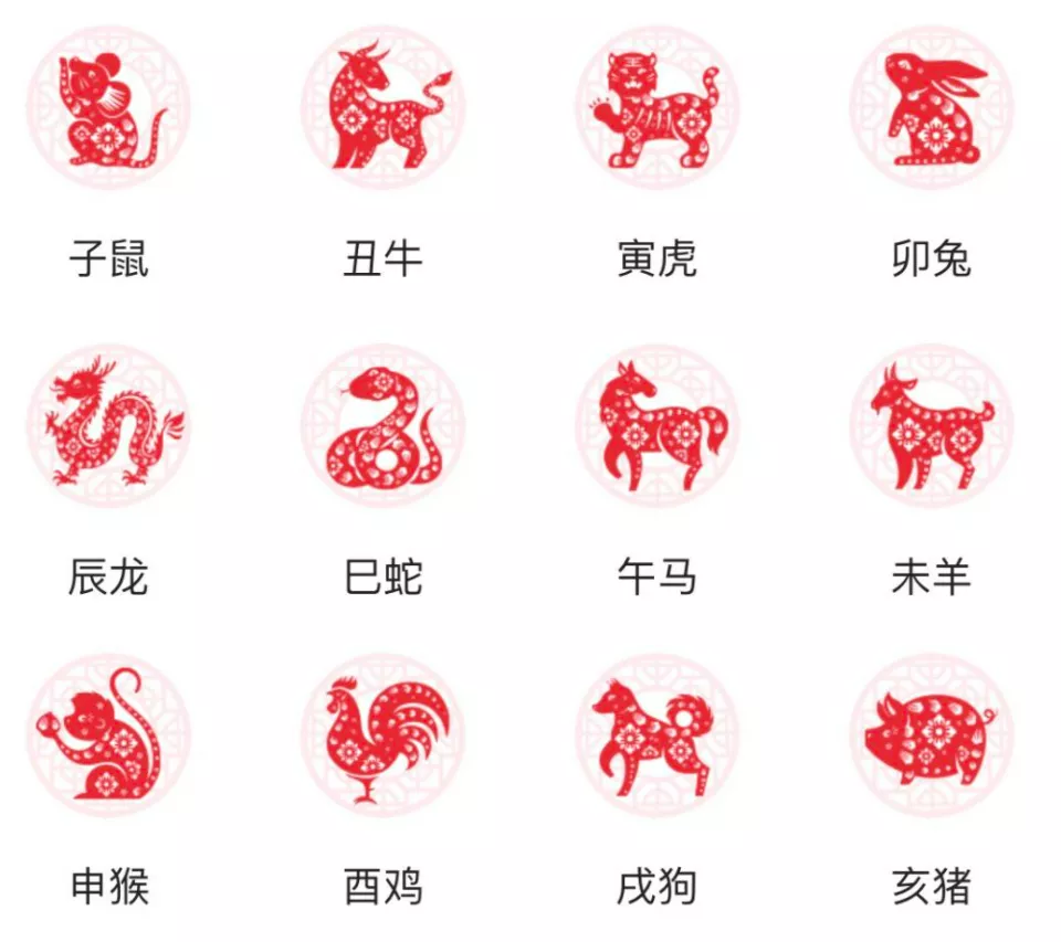一清二白代表什么生肖-一清二白代表什么生肖动物
